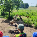 IMG_20250604_104830