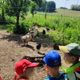 IMG_20250604_104834