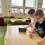 WhatsApp Image 2026-04-06 at 17.13.40 (2)