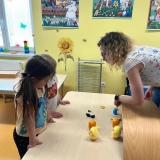 WhatsApp Image 2026-04-06 at 17.13.49 (2)