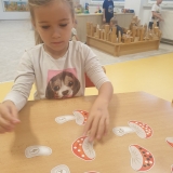 WhatsApp Image 2025-10-11 at 18.29.01 (6)