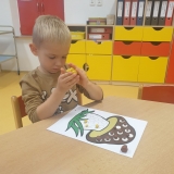 WhatsApp Image 2025-10-11 at 18.29.02