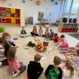 WhatsApp Image 2025-10-17 at 17.07.08