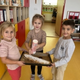 WhatsApp Image 2025-10-17 at 17.11.39 (1)