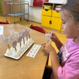 WhatsApp Image 2025-11-17 at 18.15.48