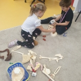 WhatsApp Image 2026-02-14 at 15.03.57