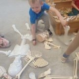 WhatsApp Image 2026-02-14 at 15.04.07 (3)