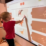 WhatsApp Image 2026-03-06 at 16.50.30 (2)