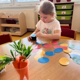 WhatsApp Image 2026-04-01 at 14.50.57 (1)