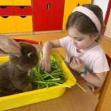 WhatsApp Image 2026-04-01 at 14.50.57 (2)