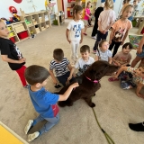 WhatsApp Image 2026-05-28 at 15.08.34
