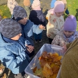 WhatsApp Image 2025-11-08 at 13.41.35 (2)