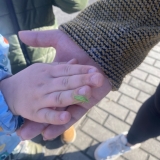 WhatsApp Image 2025-11-08 at 13.41.36