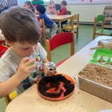 WhatsApp Image 2026-03-28 at 12.12.48 (3)