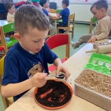 WhatsApp Image 2026-03-28 at 12.12.48