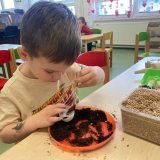 WhatsApp Image 2026-03-28 at 12.12.49