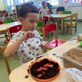 WhatsApp Image 2026-03-28 at 12.12.50 (1)