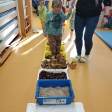 WhatsApp Image 2025-11-07 at 18.20.04 (1)