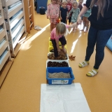 WhatsApp Image 2025-11-07 at 18.20.05 (2)