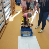 WhatsApp Image 2025-11-07 at 18.20.05 (3)