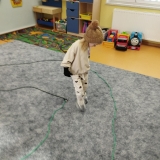 2ac85858-892a-4f51-8147-5e08cd8dcf3c