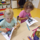 WhatsApp Image 2025-11-01 at 22.07.34 (1)