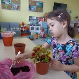 WhatsApp Image 2026-06-08 at 11.00.11 (2)